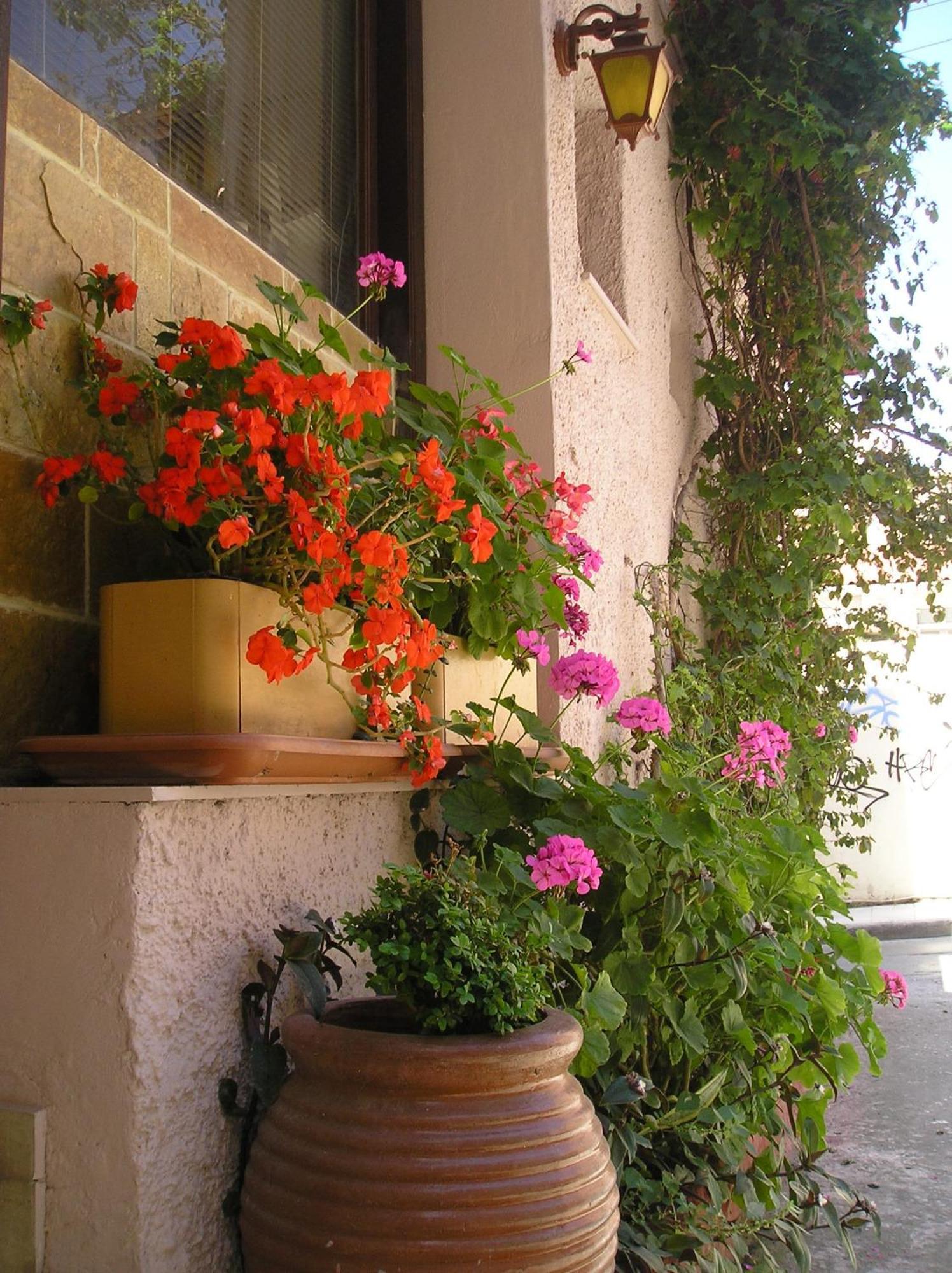 Tina Hotel Chania  ภายนอก รูปภาพ
